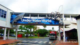 水族館のゲート写真
